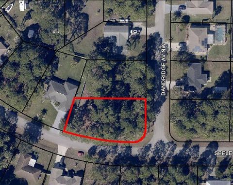 Single Family Residence in Palm Bay FL 000 Seeley Circle.jpg