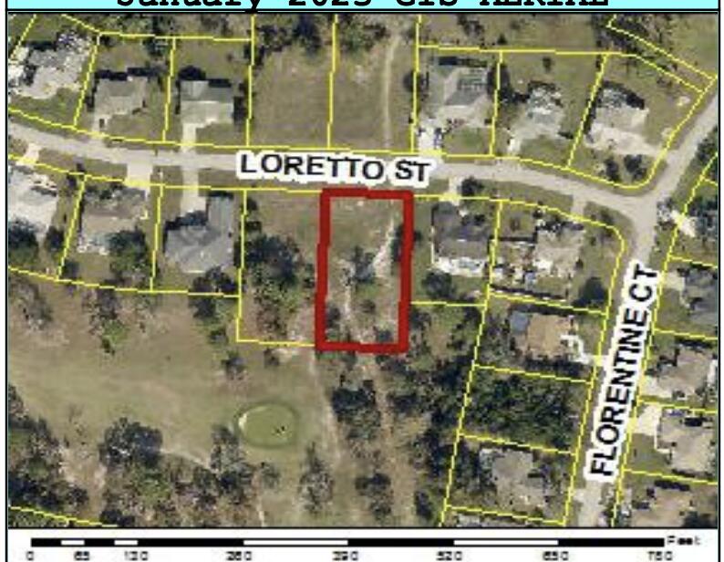 0 Tbd Loretto Lot 8 St, Spring Hill, FL 34608