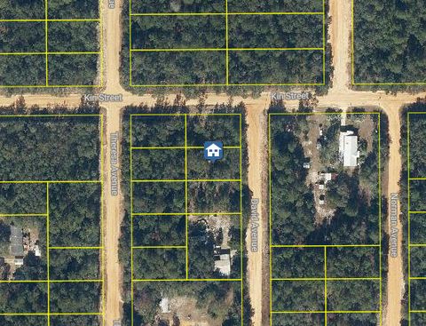 Single Family Residence in Interlachen FL Lot 30 David Avenue.jpg