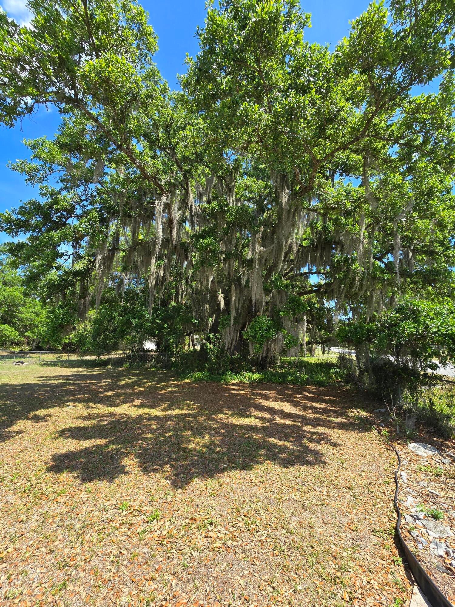 144 N Elm St, Fellsmere, FL 32948 photo