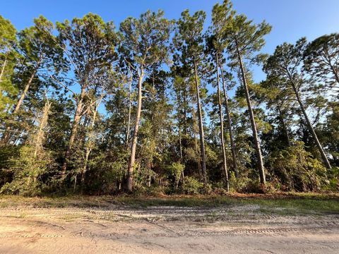Single Family Residence in Interlachen FL Tbd Susan Street.jpg