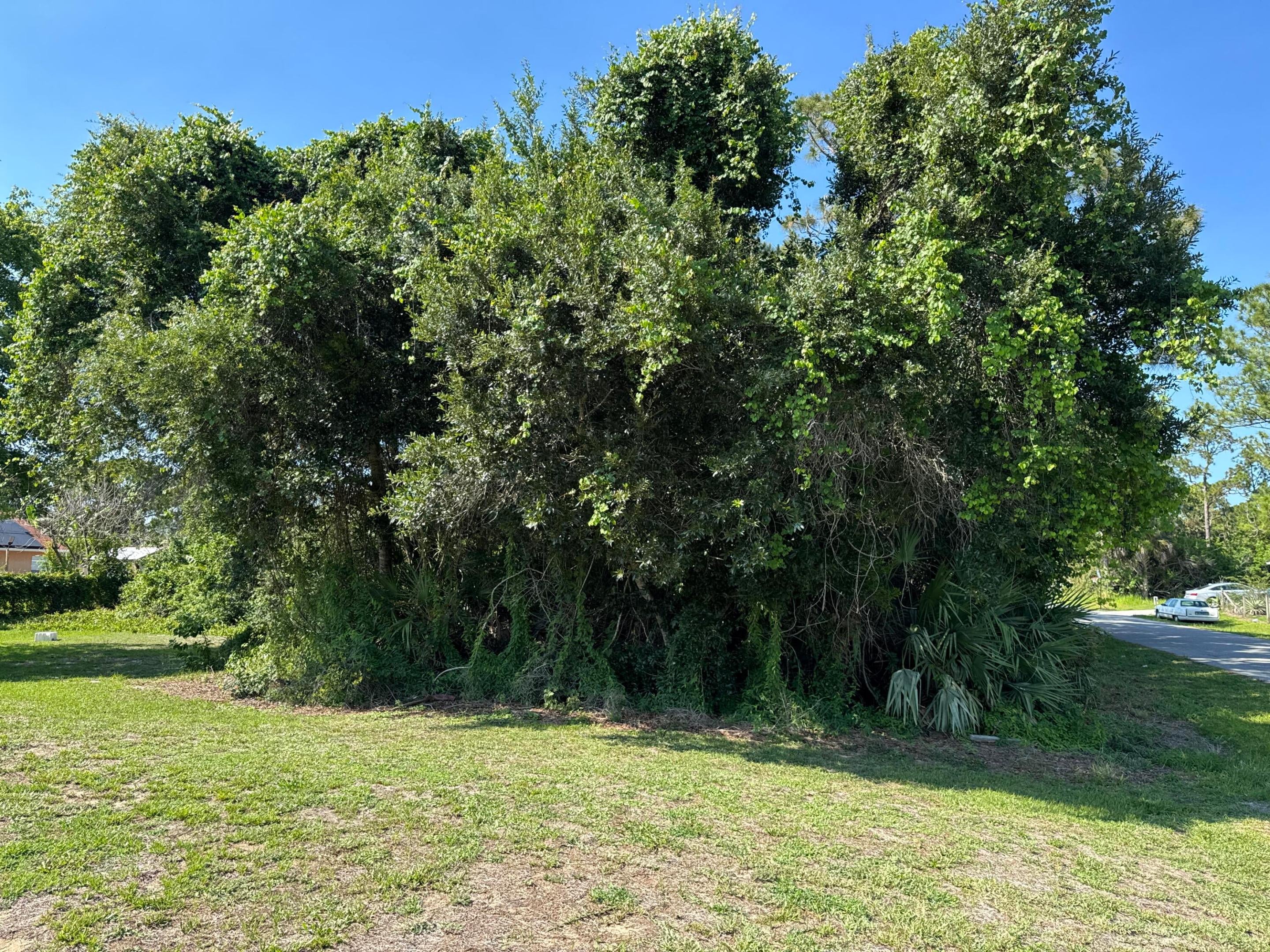 1970 Trapp Avenue Ave, Palm Bay, FL 32909