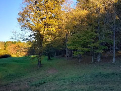  in Sparta NC TBD Crestview Mountain Dr Lot 47 #47.jpg