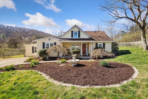 Single Family Residence in Kingsport TN 1229 Cook's Valley Road.jpg