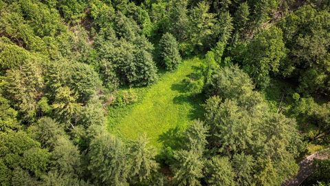 Farm in Independence VA TBD Old Bridle Creek Dr #32-A-46A.jpg