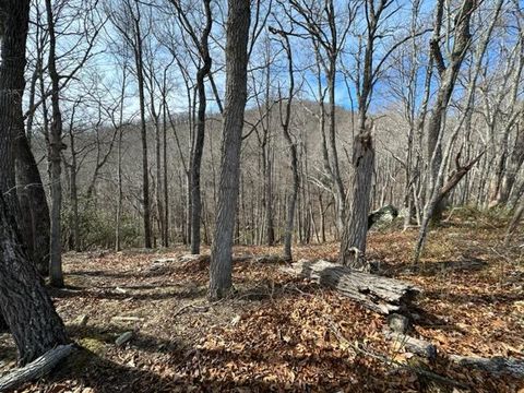  in Independence VA 107 Point Lookout Ln #107.jpg