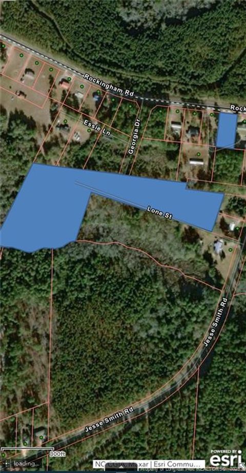  in Laurel Hill NC Long Street.jpg