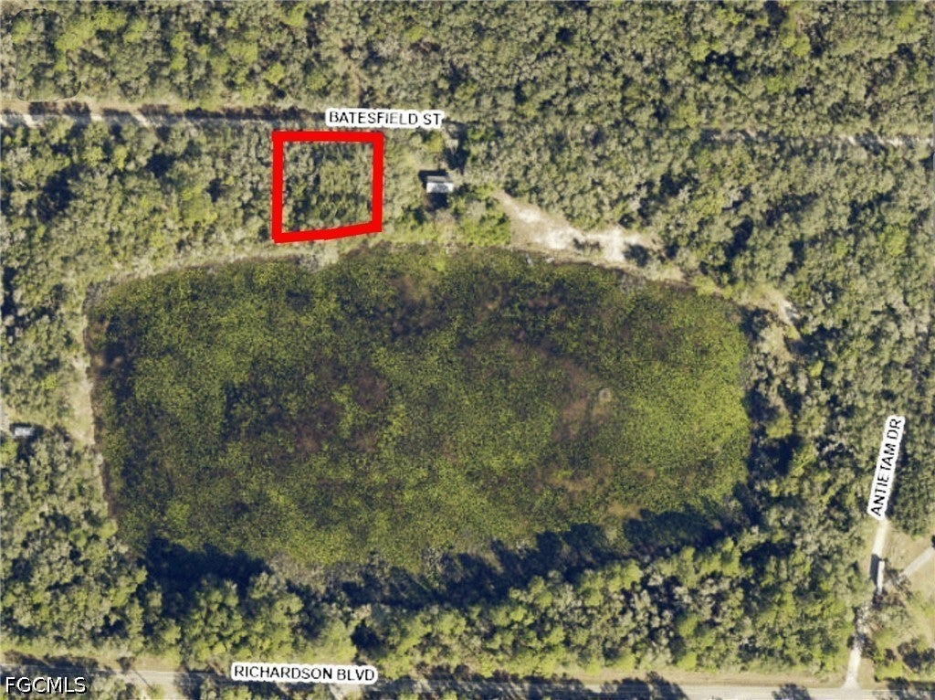 35028 Batesfield St, Webster, FL 33597 photo