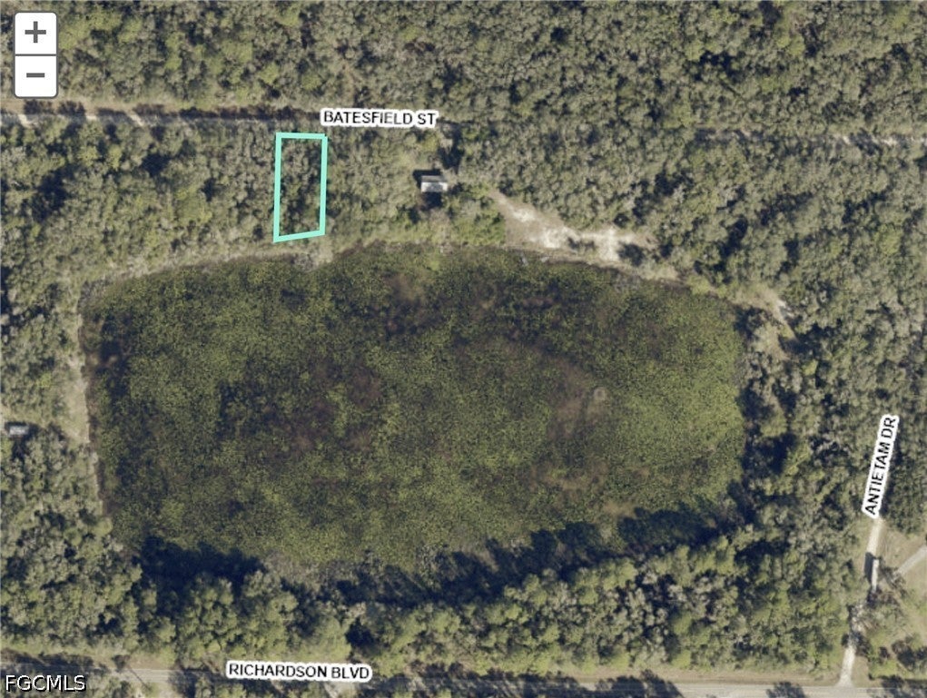 35028 Batesfield St, Webster, FL 33597 photo