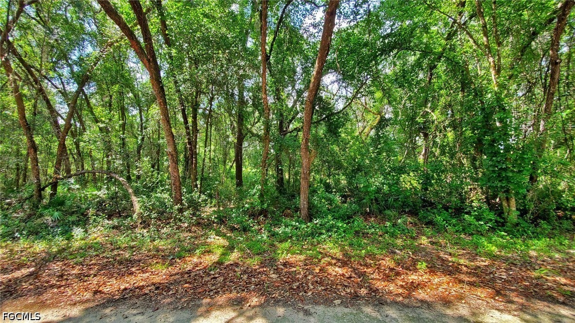 35028 Batesfield St, Webster, FL 33597 photo