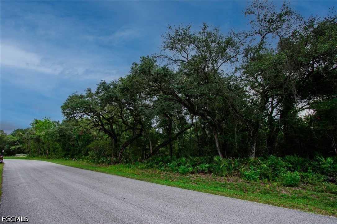 34122 August Ave, Webster, FL 33597 photo