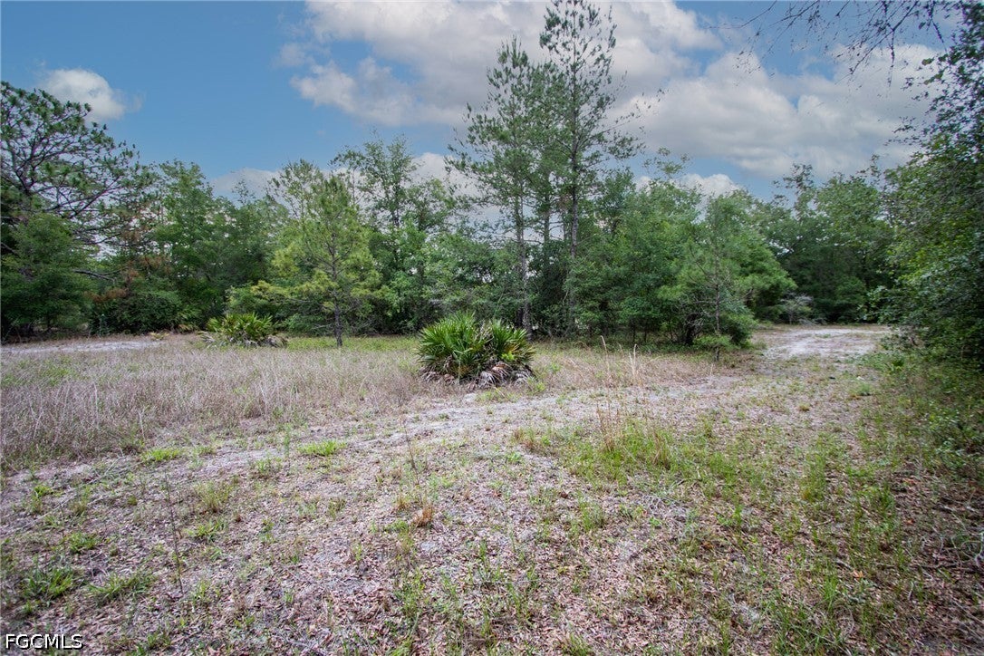 34122 August Ave, Webster, FL 33597 photo