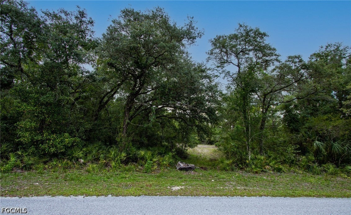 34122 August Ave, Webster, FL 33597 photo