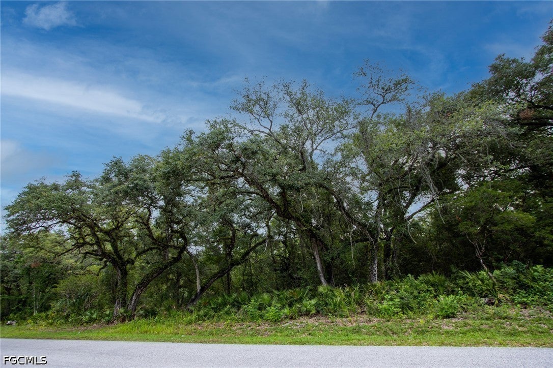 34122 August Ave, Webster, FL 33597 photo