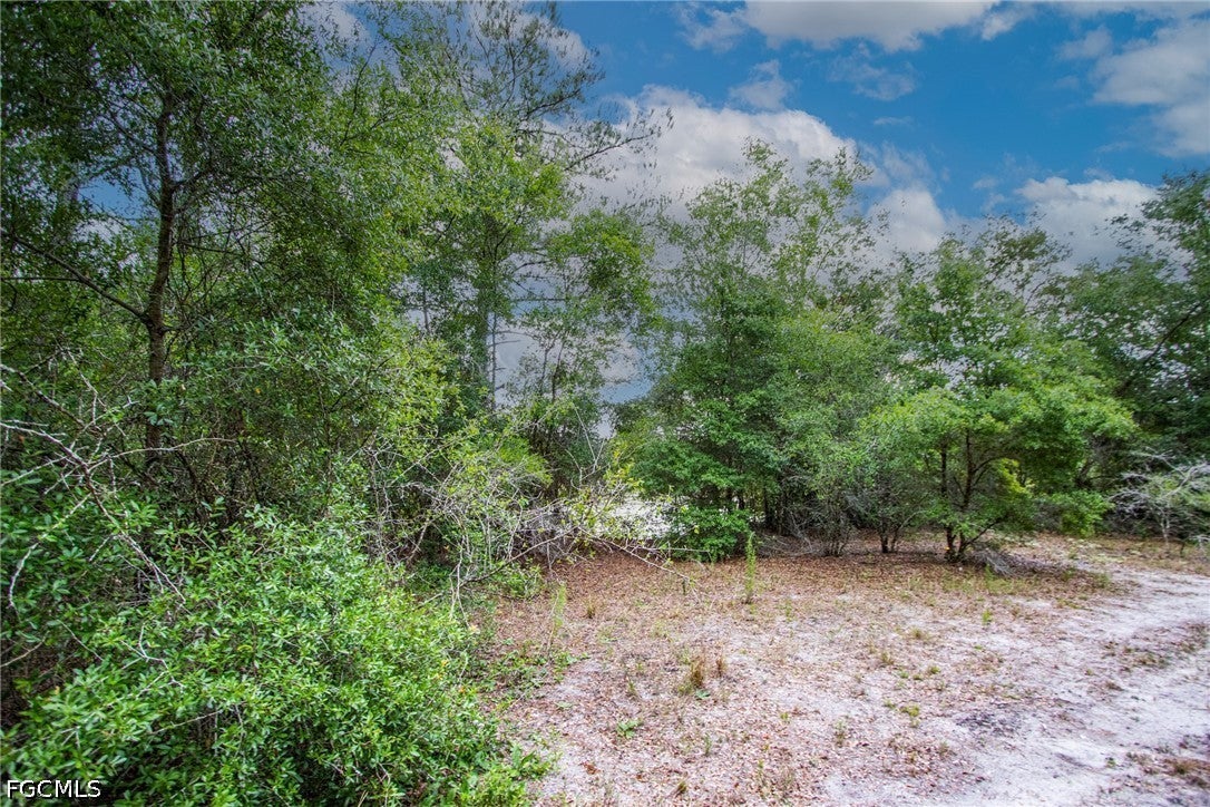 34122 August Ave, Webster, FL 33597 photo
