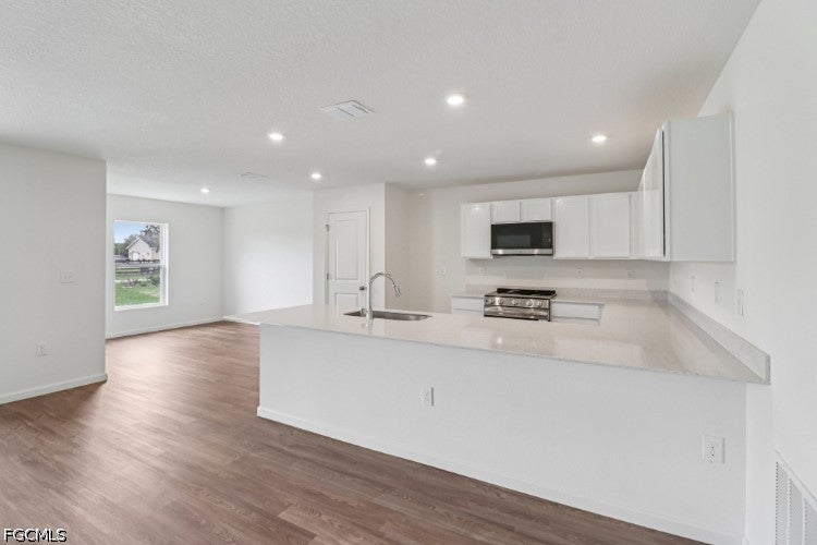 4116 NE 21 Ave, Cape Coral, FL 33909 photo