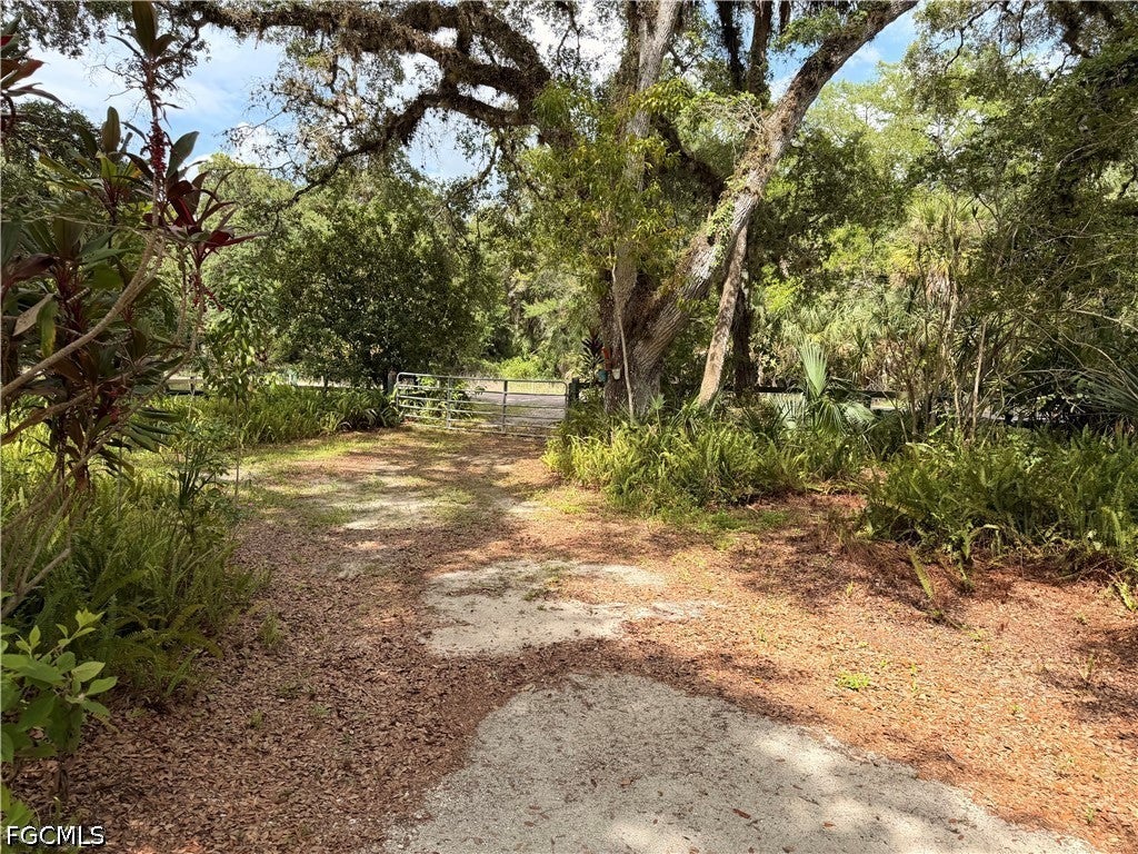 18251 Persimmon Ridge Rd, Alva, FL 33920 photo