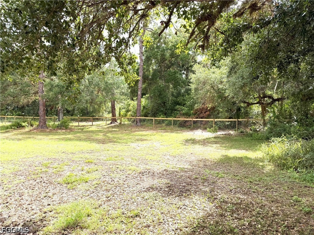 18251 Persimmon Ridge Rd, Alva, FL 33920 photo