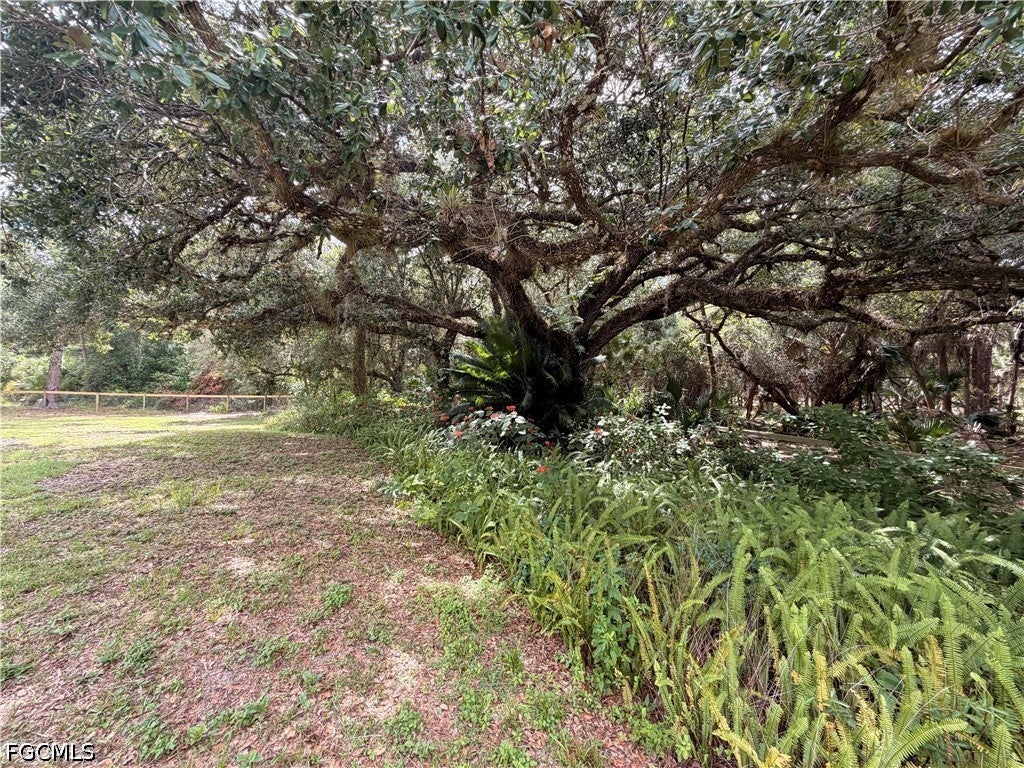 18251 Persimmon Ridge Rd, Alva, FL 33920 photo