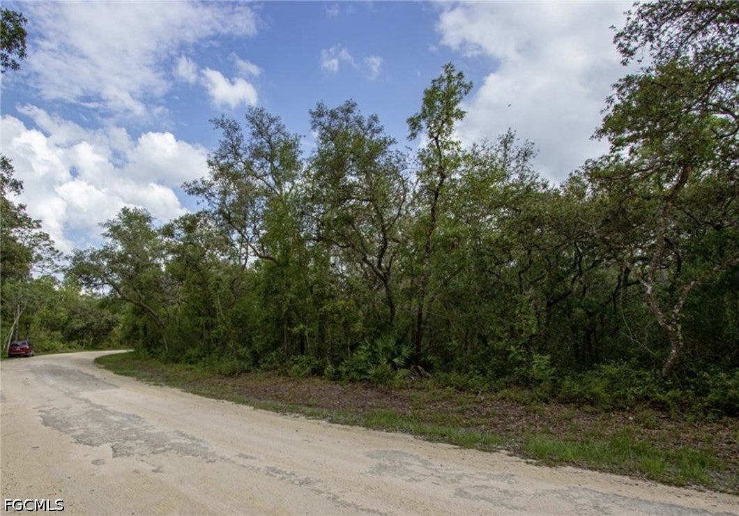 34287 Berryhill Dr, Webster, FL 33597 photo