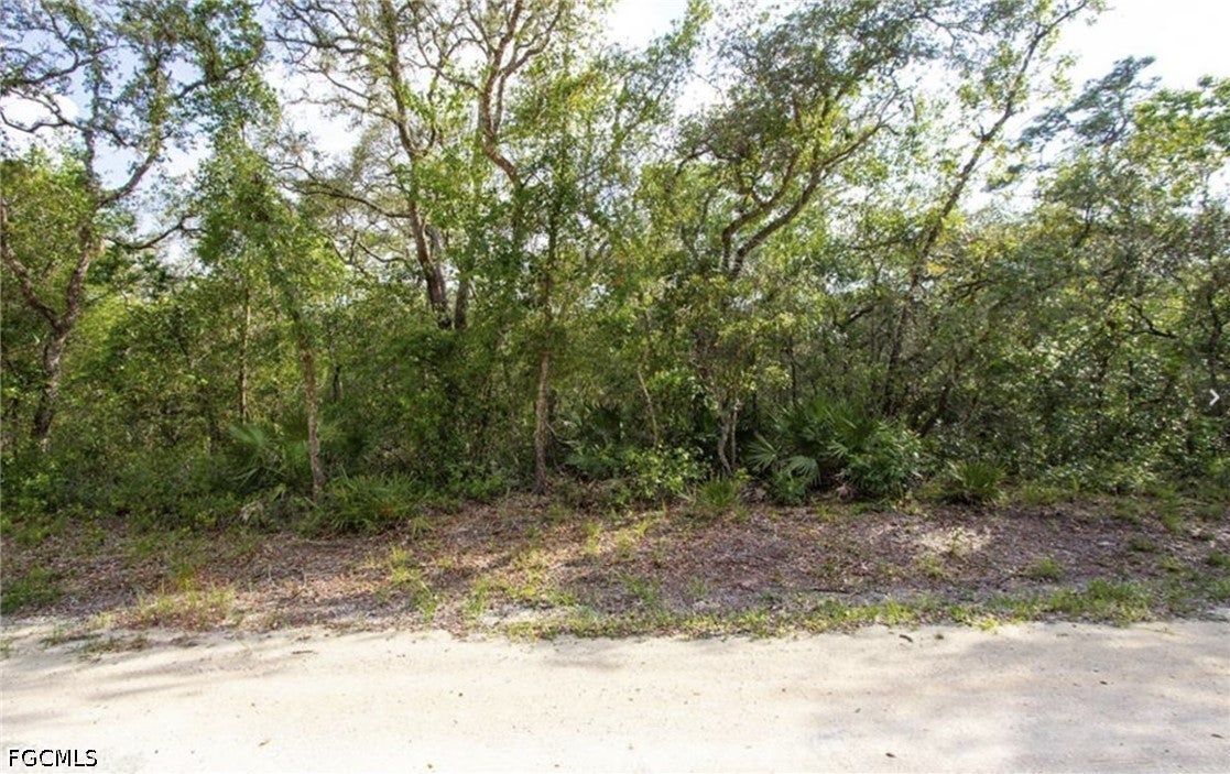 34287 Berryhill Dr, Webster, FL 33597 photo