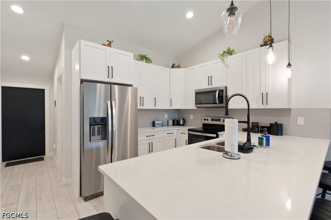 2917 SW Santa Barbara Pl, Cape Coral, FL 33914 photo