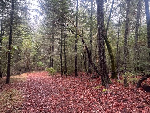  in Wilderville OR 125 Ingalls Lane.jpg