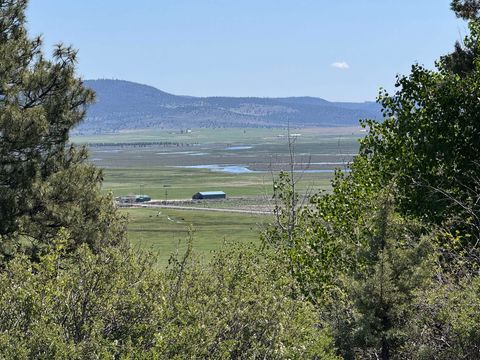  in Sprague River OR Rim Drive #L 79.jpg