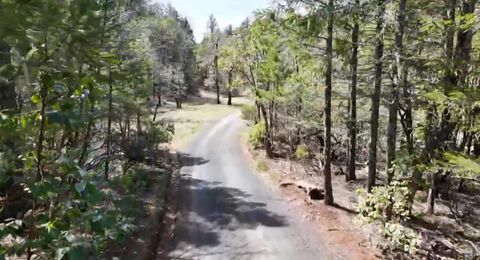  in Cave Junction OR 0 W Side Road.jpg