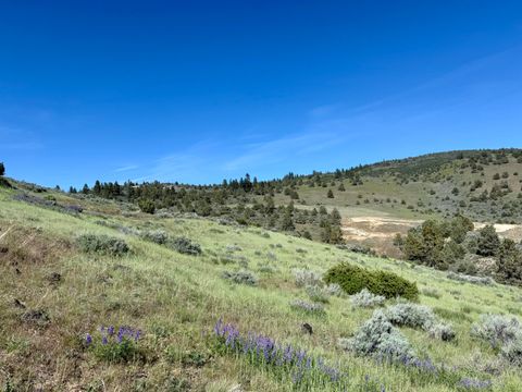  in Klamath Falls OR Plum Hill Road #Lot 702 4.jpg