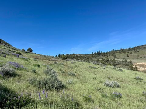  in Klamath Falls OR Plum Hill Road #Lot 702 7.jpg