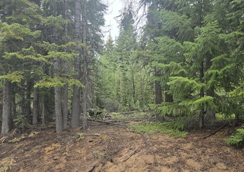  in Crescent Lake OR 5 Royce Pine Road.jpg