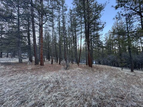  in Beatty OR Bobcat Circle #Lot 7.jpg