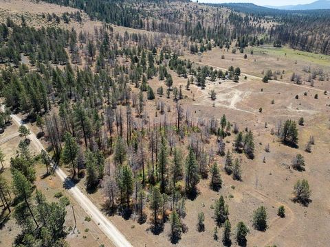  in Bonanza OR Panther Lane, Lot 6.jpg