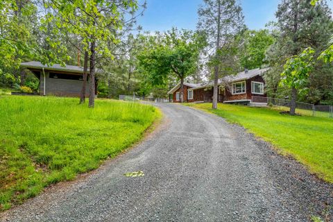 Single Family Residence in Rogue River OR 7320 W Evans Creek Road.jpg