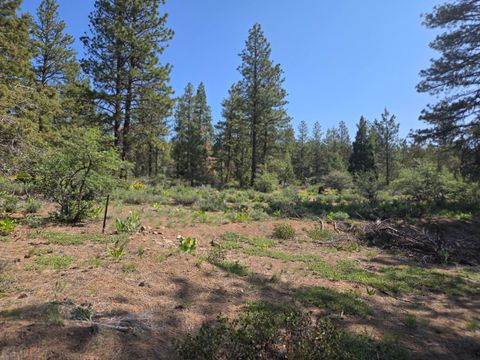 in Bonanza OR Meadow Lark Drive #Lot 12.jpg