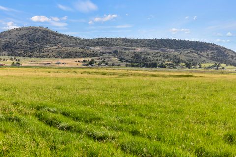 Agriculture in Klamath Falls OR Crystal Springs #NKA.jpg
