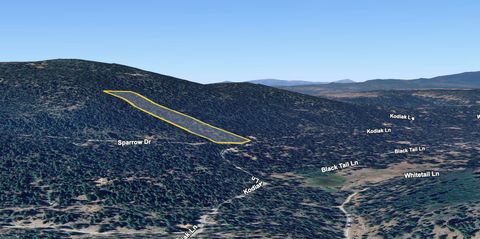  in Bonanza OR NKA Kodiak Lane #9.jpg