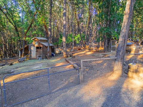 Single Family Residence in Grants Pass OR 123 Rogue Riffle Drive 49.jpg