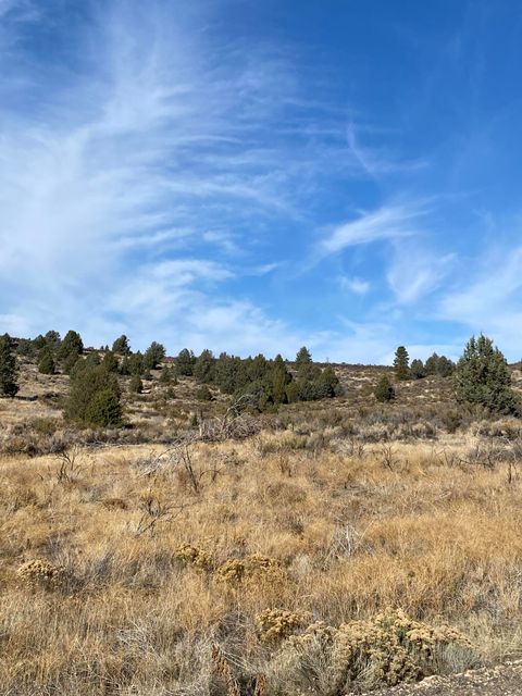  in Sprague River OR NKA Curry Street.jpg