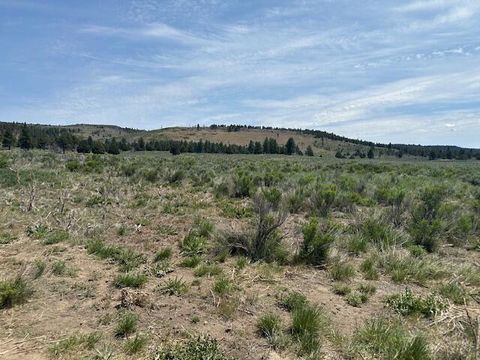  in Sprague River OR Mule Deer.jpg