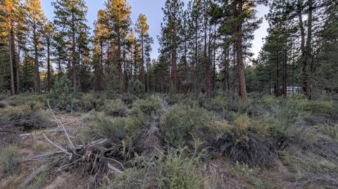  in Bonanza OR Bufflehead Drive #9.jpg