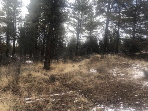  in Bonanza OR Mina Bird Drive #lot 1000.jpg