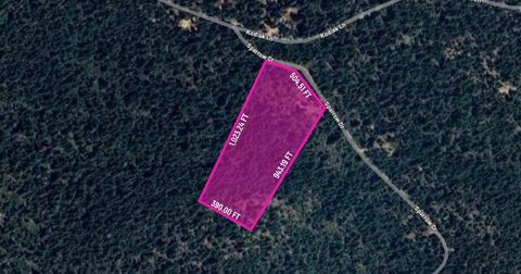  in Bonanza OR Sparrow Drive #lot 8.jpg