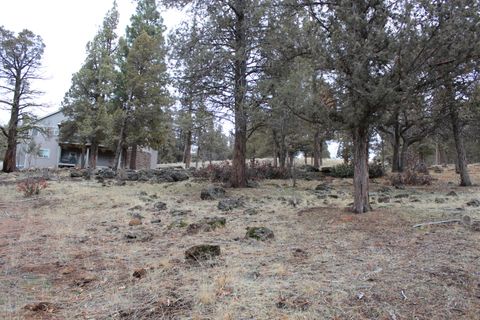  in Klamath Falls OR 267 Coopers Hawk #267.jpg
