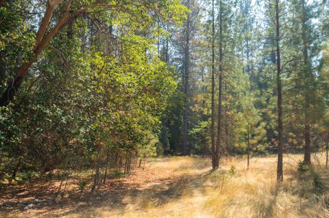  in Rogue River OR Pleasant Creek Road #TL301.jpg