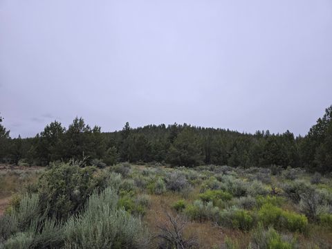  in Sprague River OR Tableland Road.jpg
