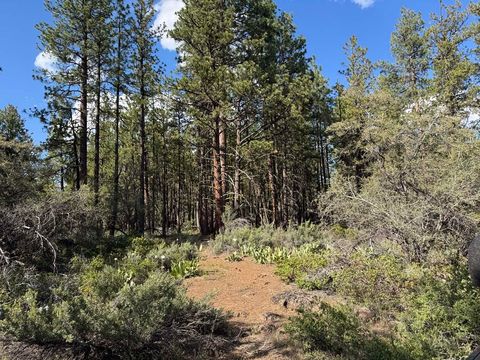  in Bonanza OR Thunderbear Road #46.jpg