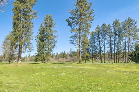 Single Family Residence in Grants Pass OR 111 Black Oak Street 3.jpg