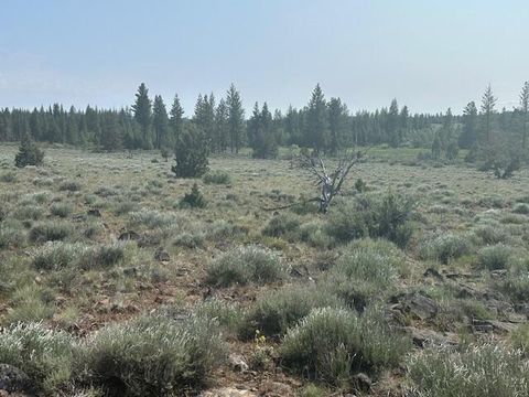  in Sprague River OR Nagel Ridge Way.jpg